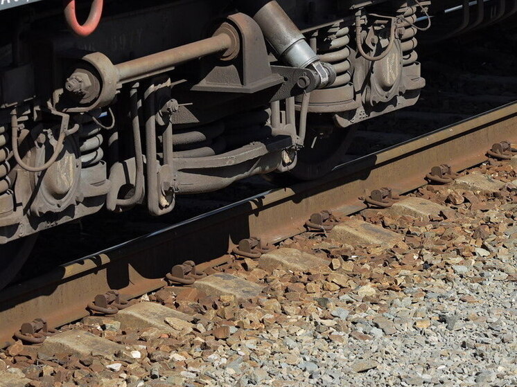 Поезд из Волгограда до Палласовки через Эльтон хотят сделать регулярным