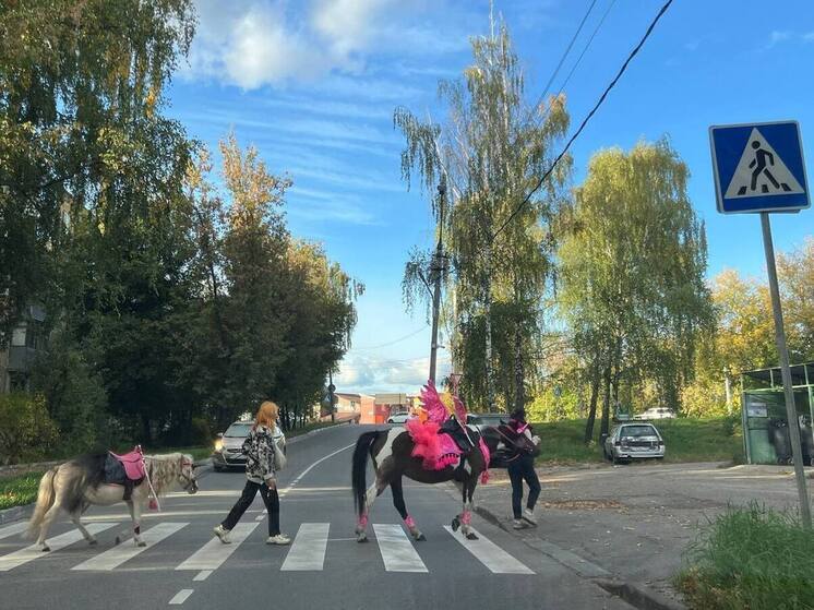 Синоптики рассказали, когда в Подмосковье завершится бабье лето