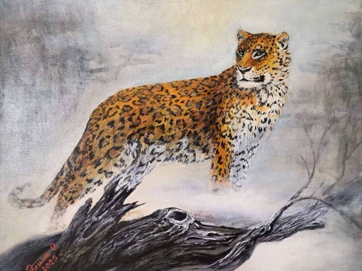 Выставку картин о хищных котах Дальнего Востока создали приморцы на «Золотой котябрь»
