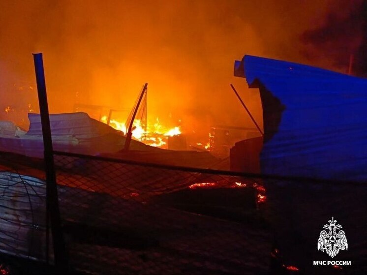 От гибели в пожаре приморскую семью с 9 детьми спасли извещатели