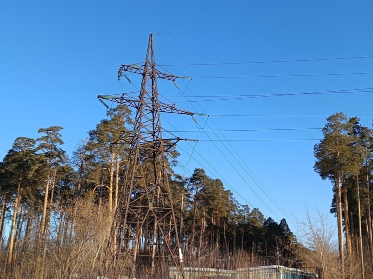 В Верхней Сысерти спасли кота, три дня сидевшего на опоре ЛЭП
