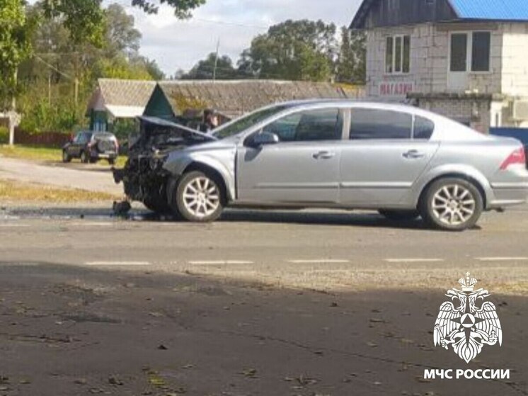 Спасатели достали пострадавшего в ДТП из помятой машины в брянском селе Творишино