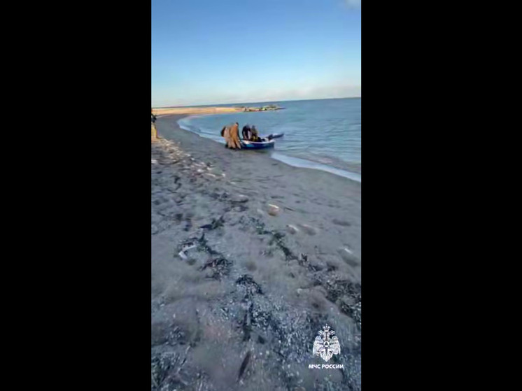 Двоих детей унесло в море на сапборде в Бердянске