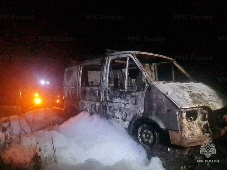 В Калужской области ночью полыхал автомобиль