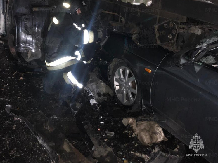 Несколько человек пострадали в тройном ДТП под Жиздрой