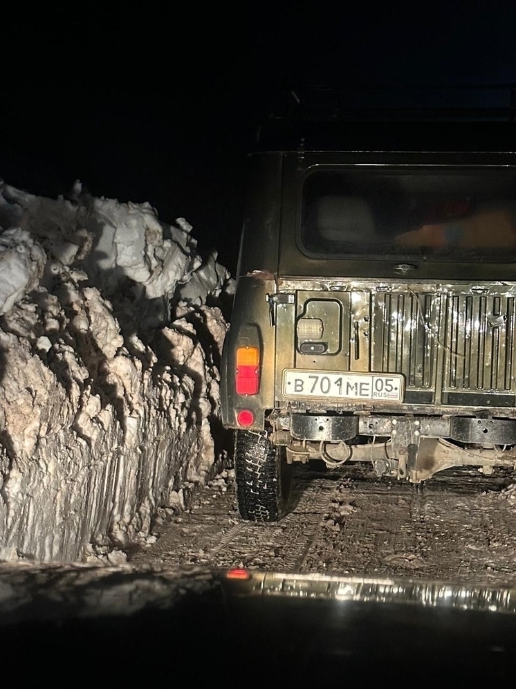 В Дагестане спасли отары овец, попавших в снежный плен в горах