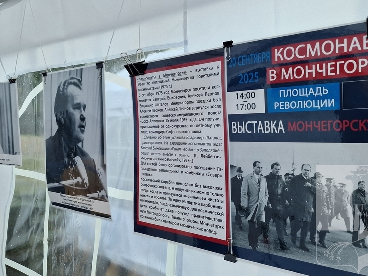 Мончегорск отметил День города с выставками и диджеями