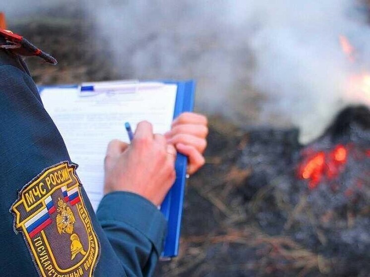 В Курской области продолжает действовать особый противопожарный режим