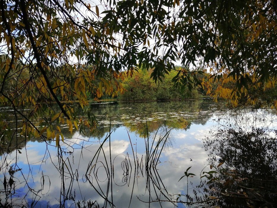 Последние лучи осеннего солнца