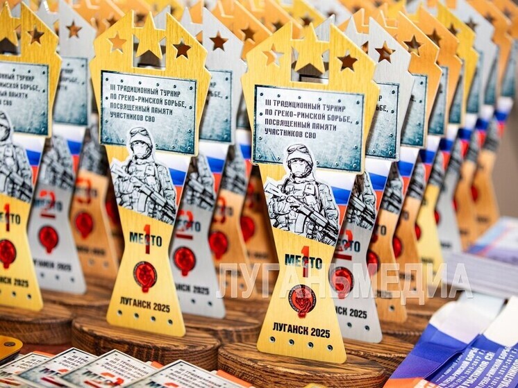 Три сотни юных борцов сражаются за победу на турнире по греко-римской борьбе, посвященном памяти участников СВО
