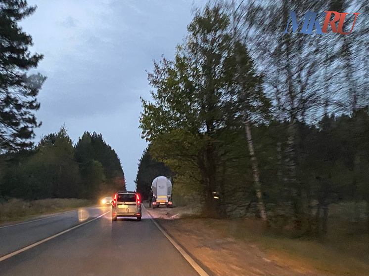 В Калужской области ищут добровольцев-поисковиков