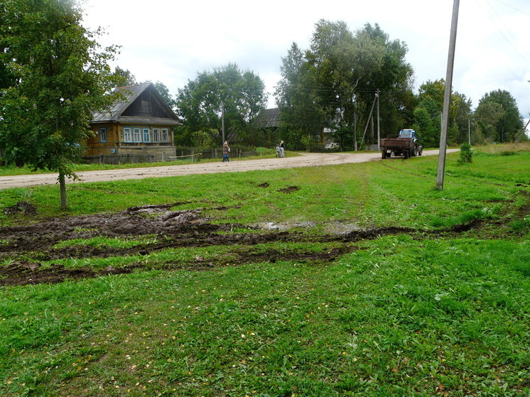 Школьников Поморья приглашают к участию в олимпиаде по экологии