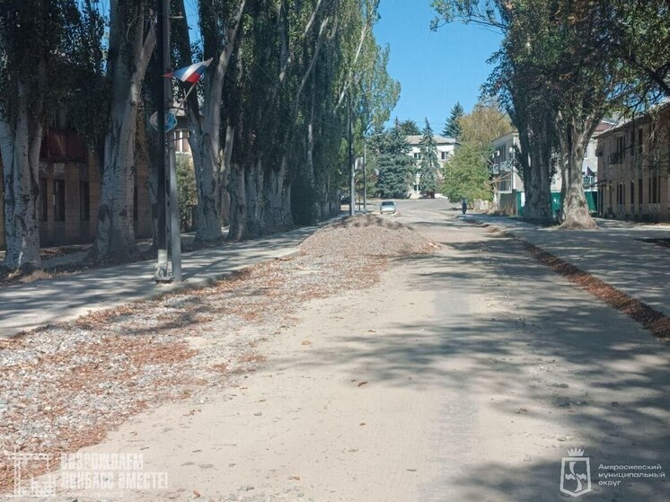 Амурчане восстановят главную улицу Амвросиевки