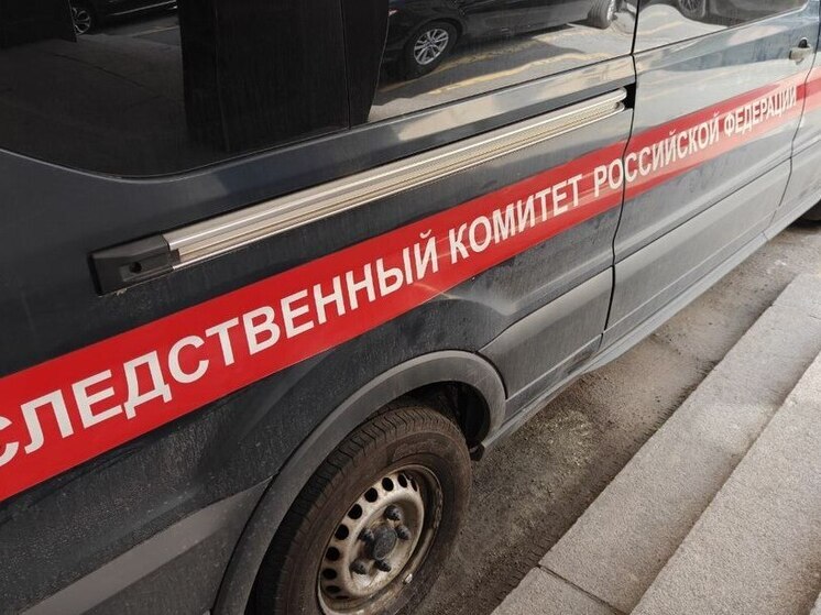 Следователи Петербурга устанавливают причины получения травмы стопы у девочки в метро