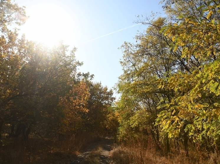 В Астрахани погода сменится дважды за неделю