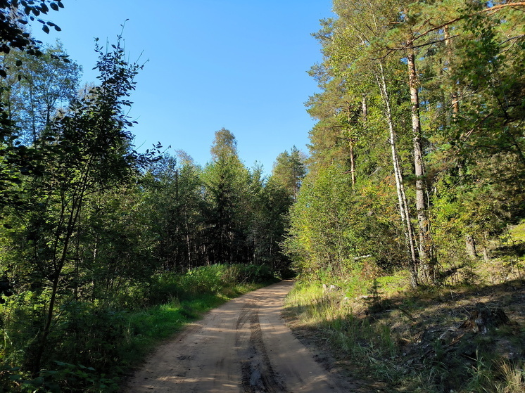 В День осеннего равноденствия ожидается аномальное тепло