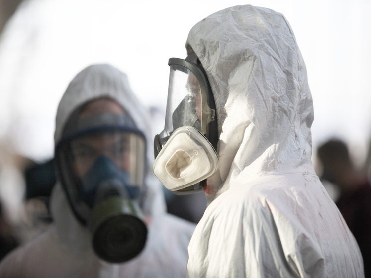 ГД: в РФ мошенники выдают себя за городских дезинсекторов