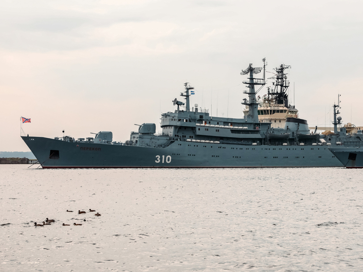 Sohu: Путин ответил на провокацию Японии вблизи Курильских островов