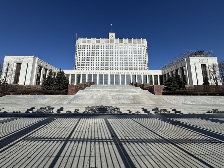 Кабмин поддержал законопроект о лишении уклонистов приобретенного гражданства РФ