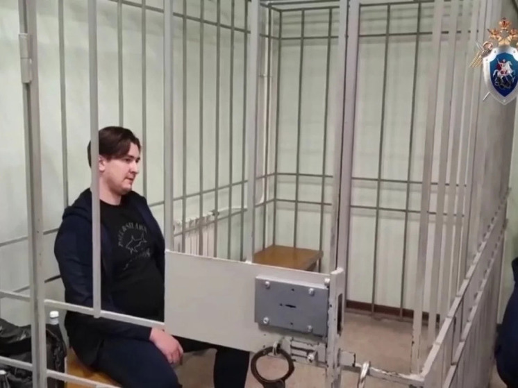 Сына красноярского бизнесмена Егорова будут судить за мошенничество на 98 млн рублей