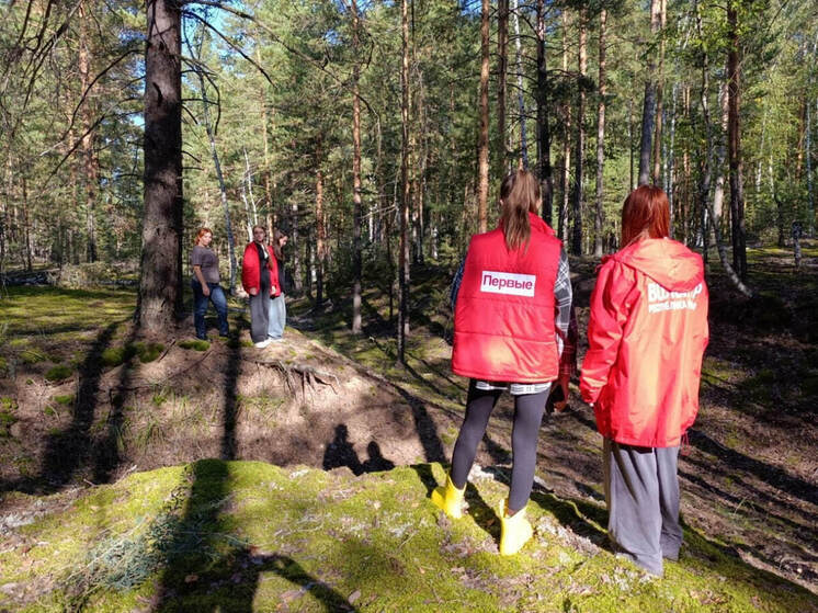 В марийских лесах найдены оборонительные укрепления 1941 года