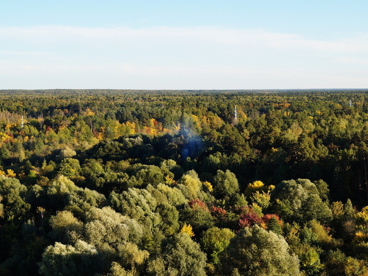Жителей Центральной России предупреждают о резком похолодании: Роман Вильфанд назвал точную дату
