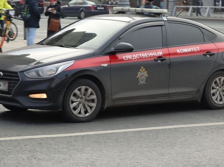 Обвиняемая в убийстве троих детей в Красноярском крае мать была невменяемой