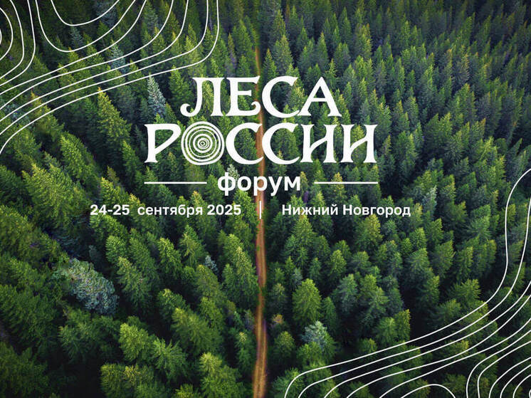 Будущее российских лесов обсудят на этой неделе в Нижнем Новгороде