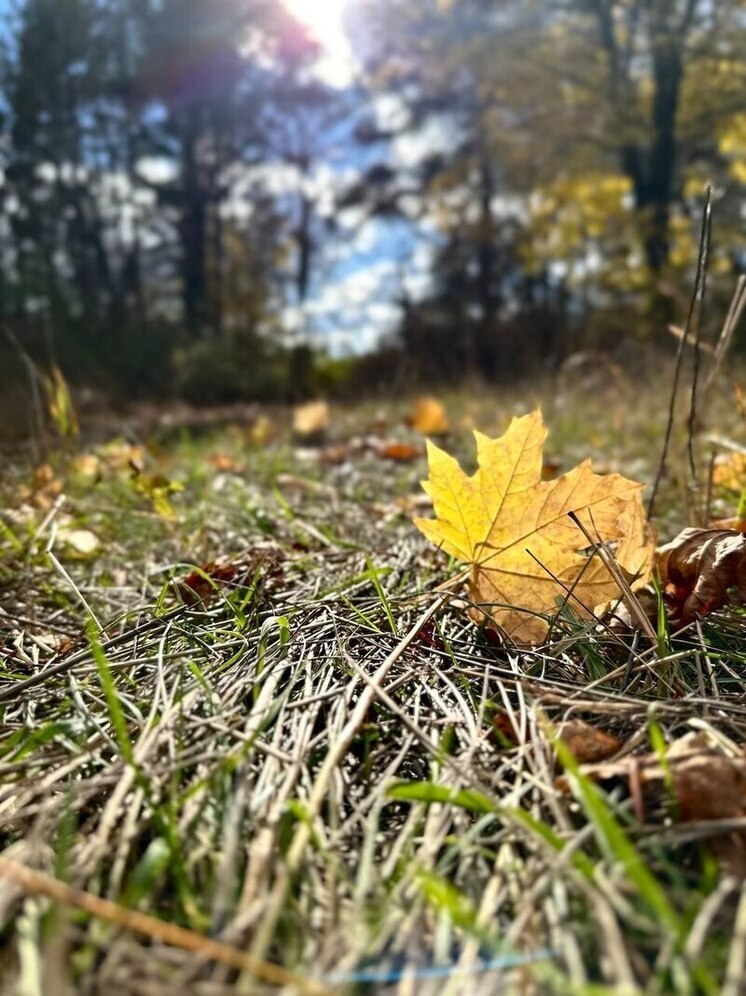 На Ставрополье наступила астрономическая осень: приметы 22 сентября