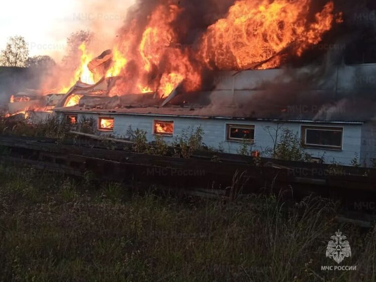 Над калужской деревней сгустились клубы дыма
