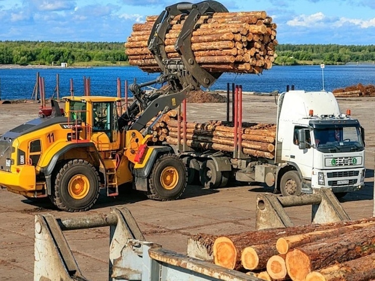 Двум работникам лесного комплекса Поморья присвоили почётное звание