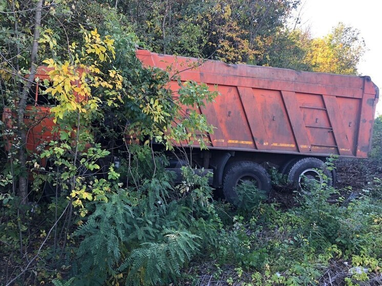 В Лискинском районе грузовик на скорости врезался в дерево
