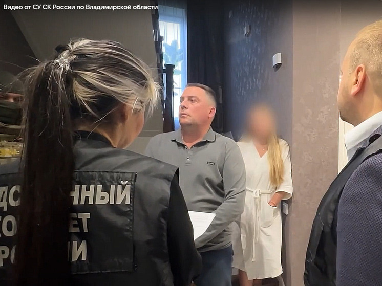В Следкоме Владимира, наконец, раскрыли причины задержания главы города Дмитрия Наумова