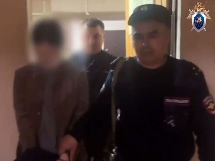 СК: Завершено расследование дела об убийстве троих детей в Канске