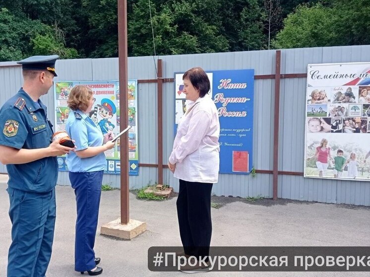 Прокуратура выявила нарушения в детских лагерях под Тулой