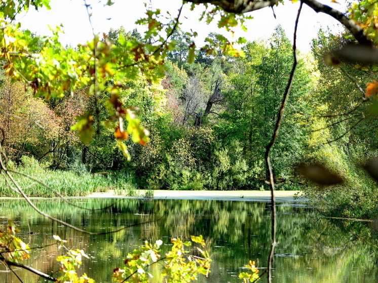 В Марий Эл змеи готовятся к зимовке, зато вернулись комары