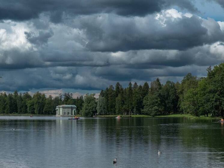 Дворцовый парк в Гатчине закрыли из-за бушующего ветра