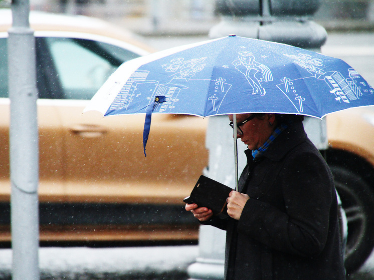 Синоптик Ильин: в ночь на 26 сентября в Подмосковье температура может опуститься до нуля