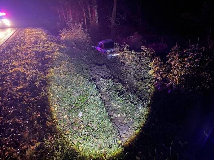 Молодой моркинец получил пять лет за смертельный наезд на пешехода