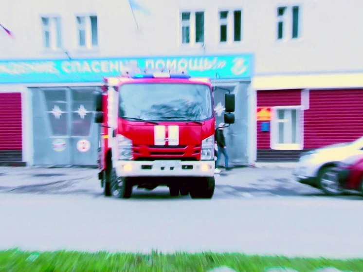 За неделю в Херсонской области случилось 17 пожаров