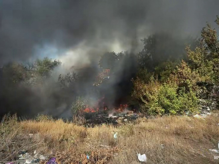 Спасатели МЧС России отстаивают жилые дома от огня в Луганске