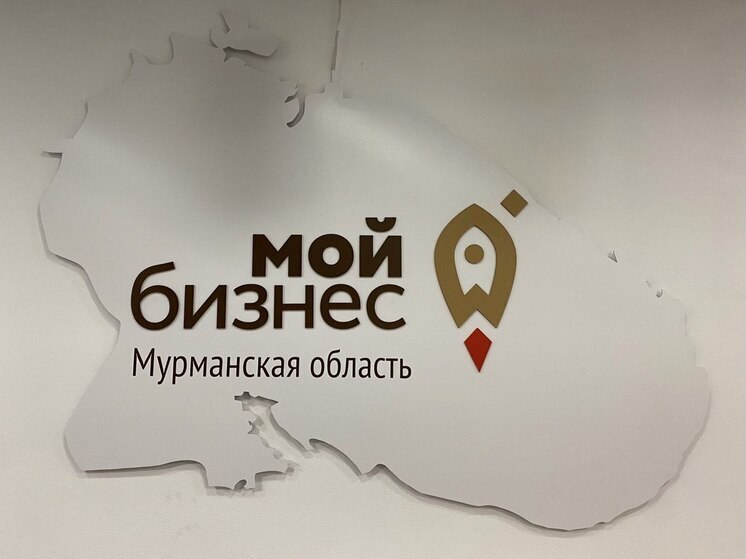 В Мурманской области объявили прием заявок на субсидии для социально ориентированного бизнеса