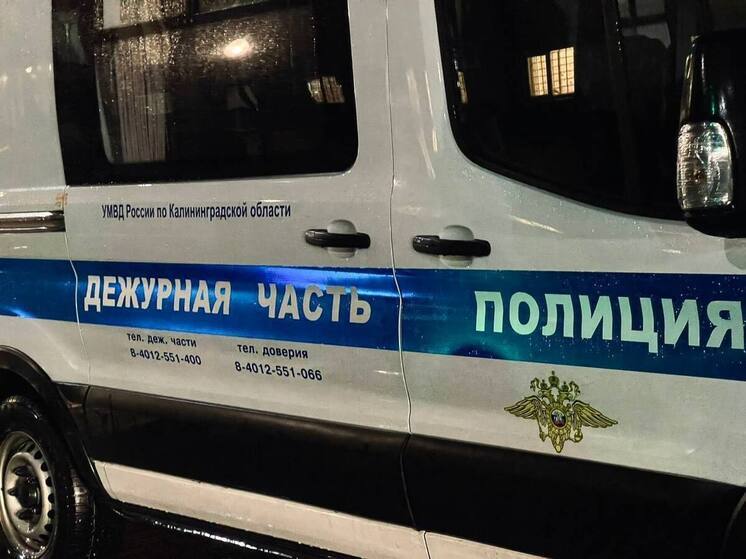 В Гусеве автоугонщики устроили утренний автопробег с финалом в кювете