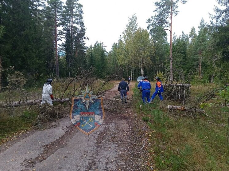 Спасатели расчистили Приозерское шоссе от поваленных деревьев