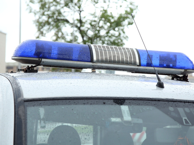 Партию спальных мешков для военных похитили у ветеранской организации Подмосковья