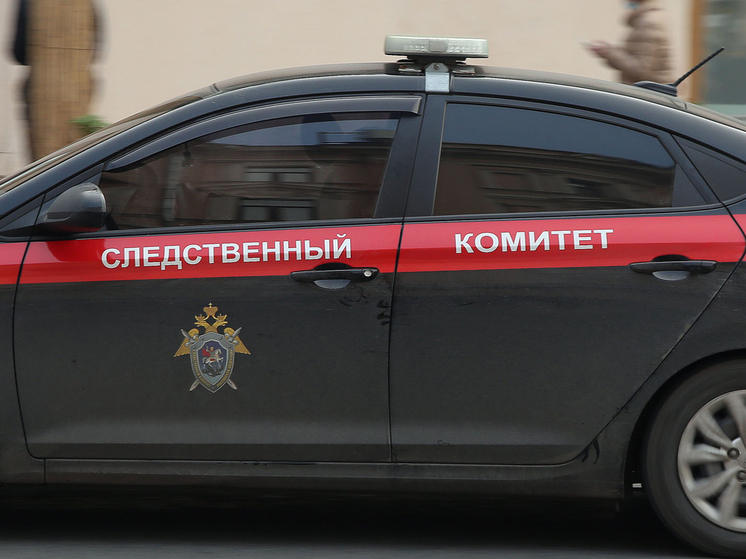 СК проверяет данные о рабстве в хозяйстве в Ростовской области