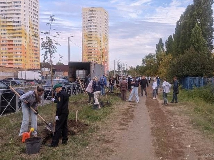 Пензенцы вышли на массовую посадку деревьев в рамках акции по озеленению города