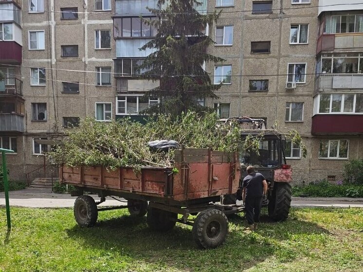 В Курске мэрия проверила более 100 дворов и выявила недостатки