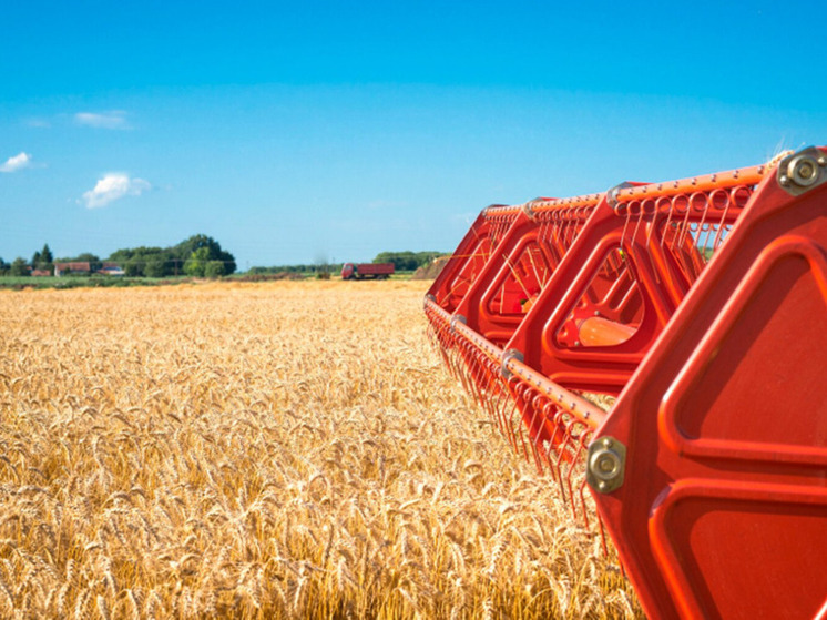 Жителей ДНР приглашают поучаствовать во Всероссийском аграрном диктанте