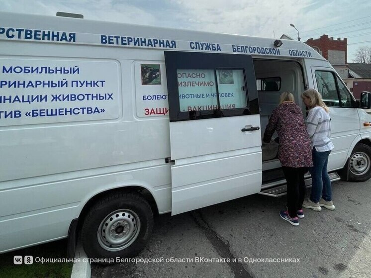 Жители Старого Оскола смогут бесплатно вакцинировать животных от бешенства